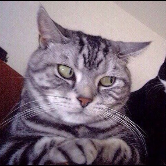 Meet your Posher, Robert - Picture 1 of 1